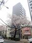 桜台駅より徒歩4分 11階 築7年3ヶ月の賃貸物件