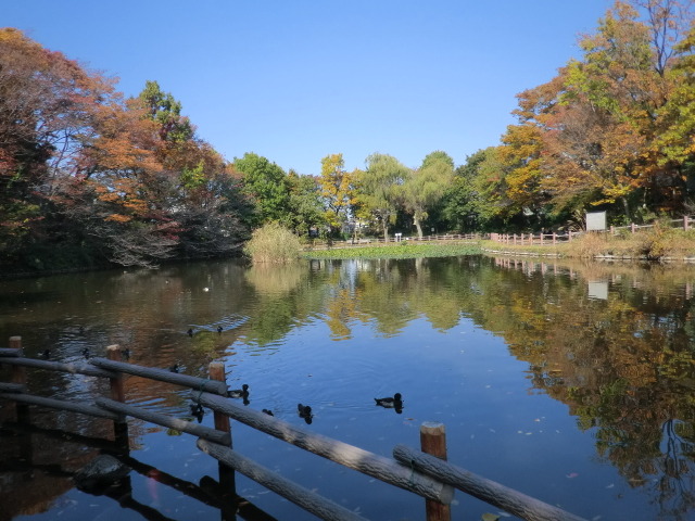 その他　菊名池公園（その他）まで1057m