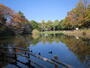 その他　菊名池公園（その他）まで1057m