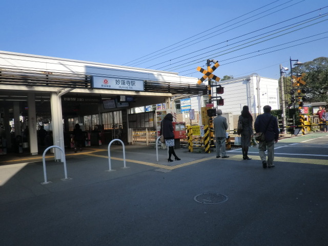その他　妙蓮寺駅（東急 東横線）（その他）まで773m