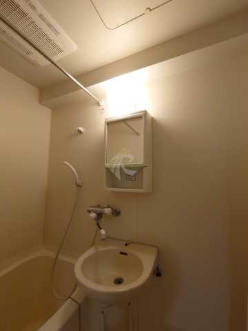 洗面設備　別のお部屋の写真になります