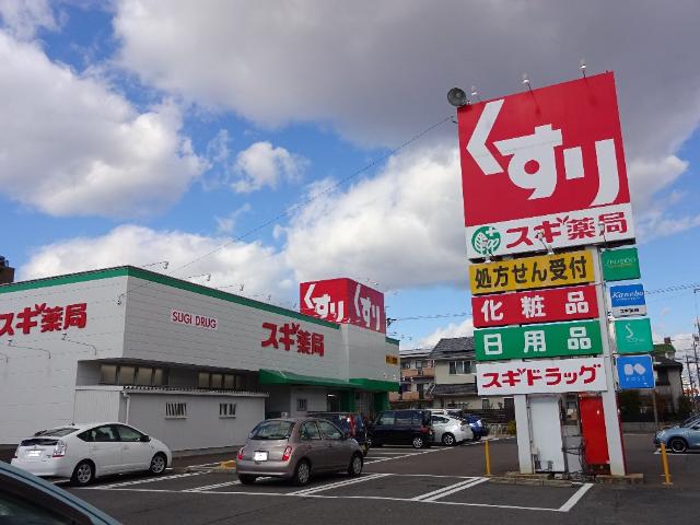 その他　スギ薬局大地店（その他）まで1213m
