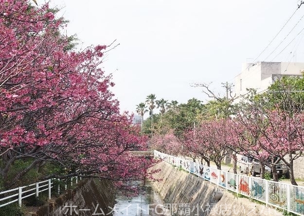 公園　与儀公園（公園）まで974m