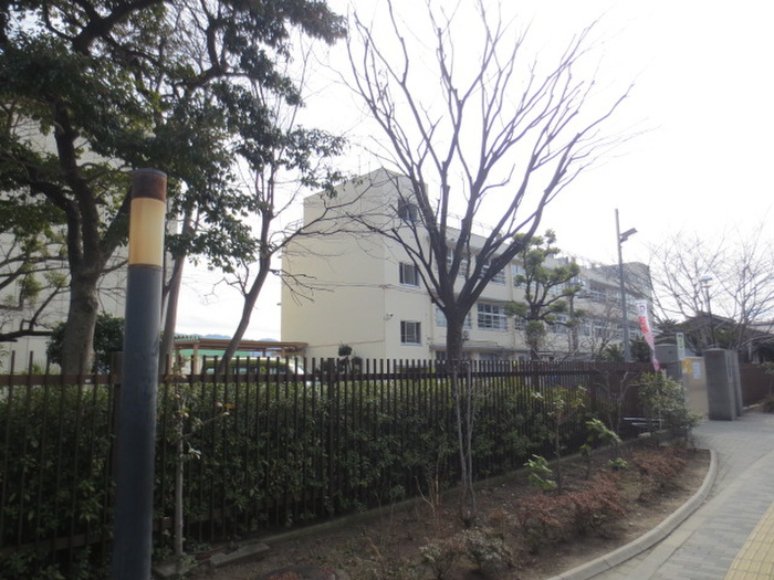 小学校　八尾小学校（小学校）まで190m