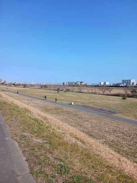 その他　六郷緑地（その他）まで301m