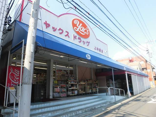ドラックストア　ヤックスドラッグ上本郷店（ドラッグストア）まで253m
