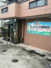 病院　ふじむら犬猫病院（病院）まで25m