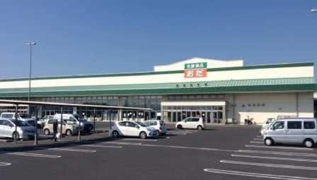その他　生鮮食品おだ斐川店まで1700m