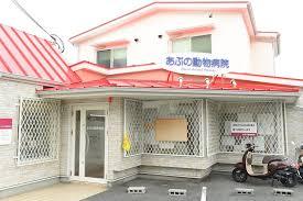 病院　あぶの動物病院（病院）まで306m
