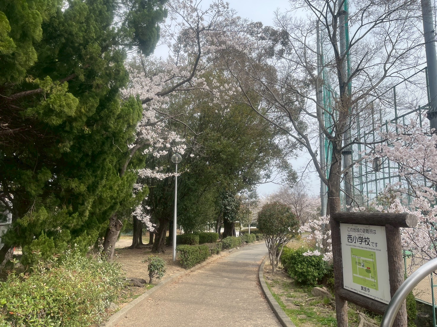 公園　箕面西公園（公園）まで832m