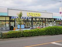 その他　いなげや府中美好店まで210ｍ