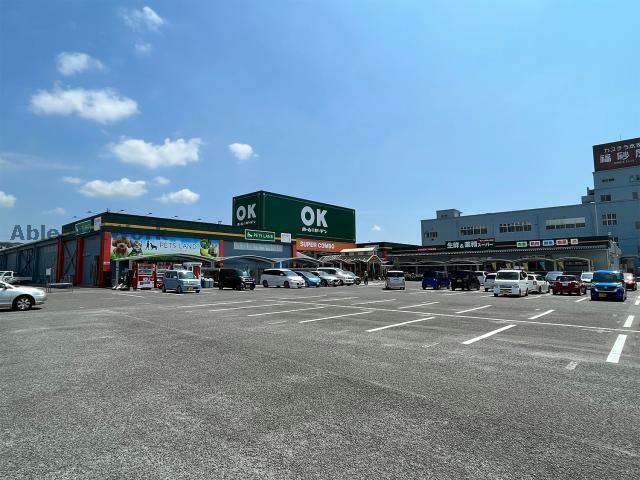 ホームセンター　OKホーム＆ガーデン大村店（ホームセンター）まで730m