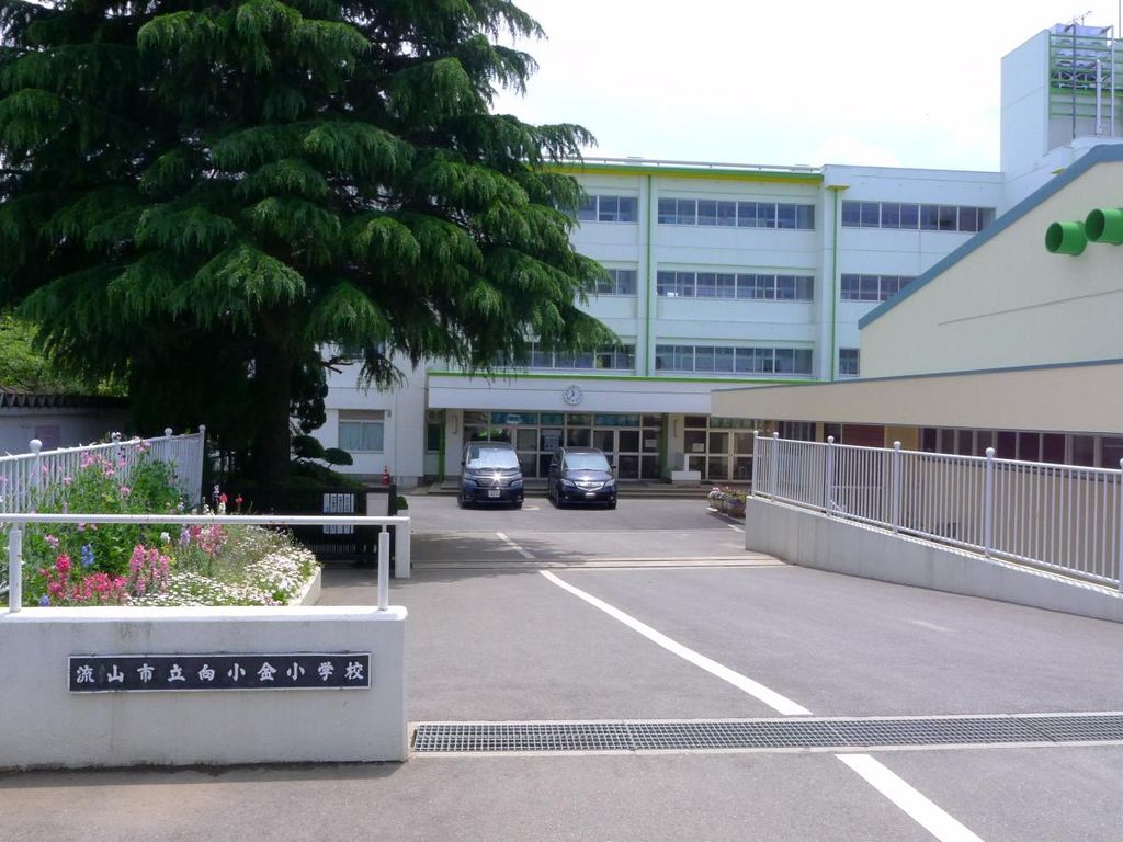 小学校　流山市立向小金小学校（小学校）まで780m