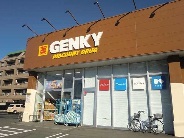 ドラックストア　ゲンキー長良公園北店（ドラッグストア）まで1100m