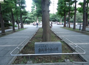 公園　東池袋中央公園（公園）まで1137m