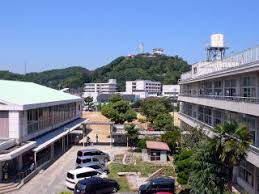 小学校　伊島小学校（小学校）まで163m