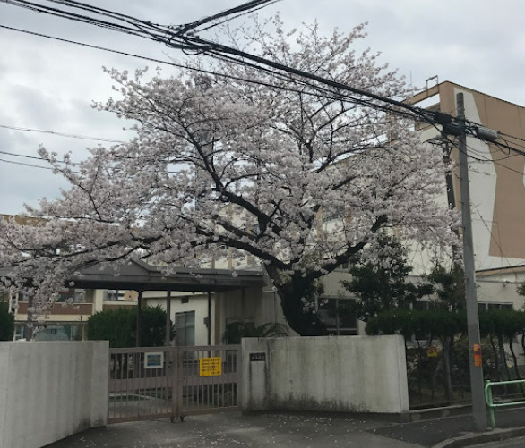 小学校　名古屋市立老松小学校（小学校）まで303m