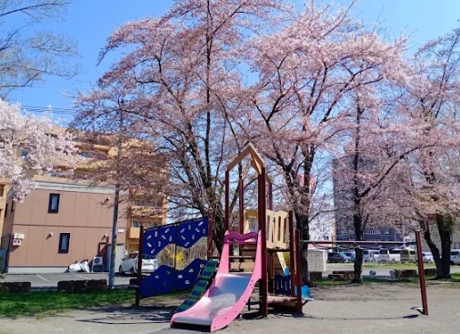 公園　わらべ公園（公園）まで503m