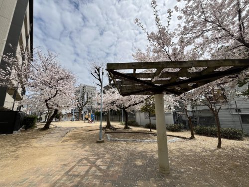 公園　北田辺中公園（公園）まで763m