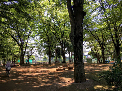 公園　東板橋公園（公園）まで420m