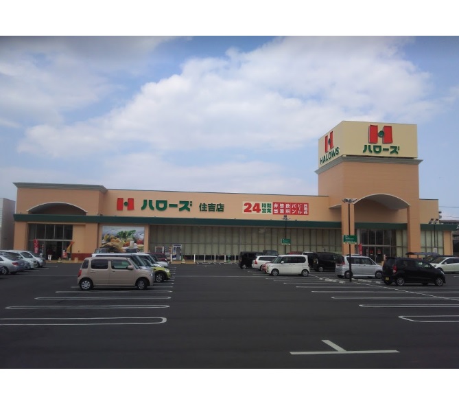 スーパー　ハローズ住吉店（スーパー）まで906m