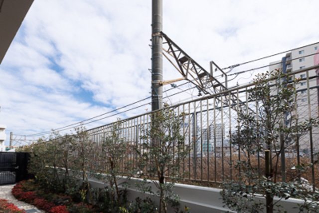 眺望