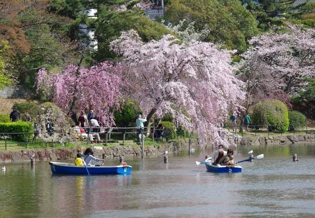 公園　千葉公園（公園）まで1208m