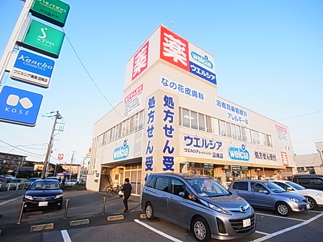 ドラックストア　ウェルシア　沼南店（ドラッグストア）まで494m