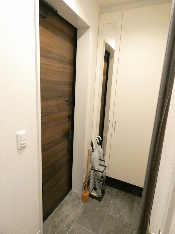 玄関　写真は102号室です（参考）