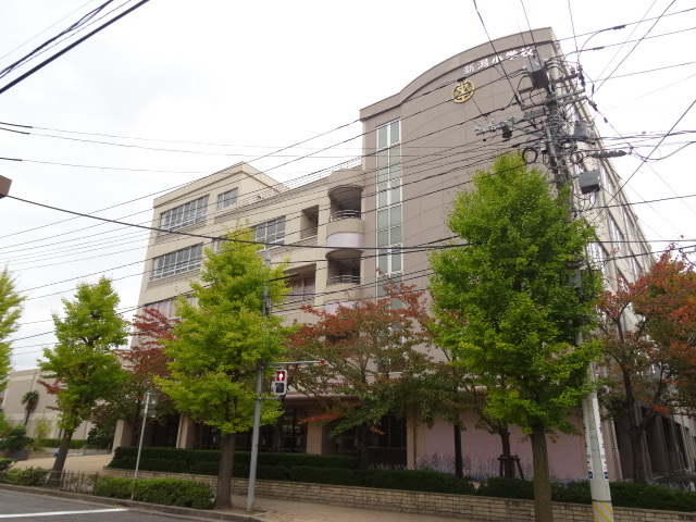 小学校　新潟市立新潟小学校（小学校）まで837m