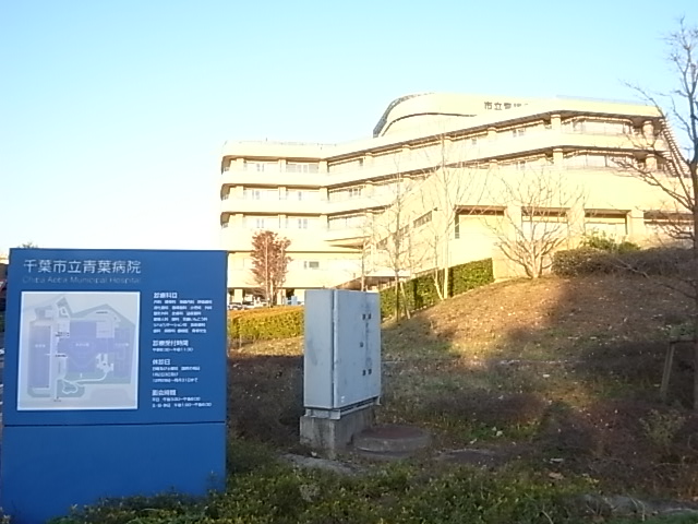 病院　千葉市立青葉病院（病院）まで335m
