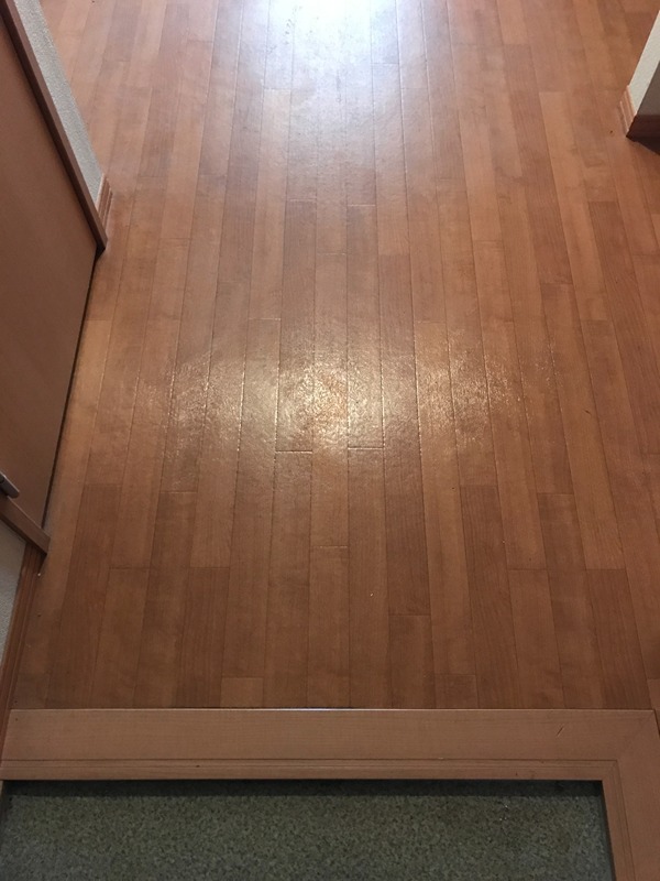 玄関　他部屋参考
