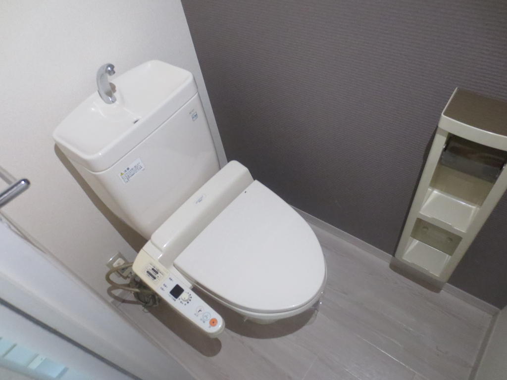 ＪＲ常磐線 佐和駅 徒歩5分 2階建 築26年のトイレ写真