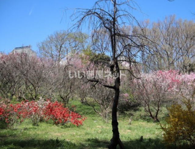 公園　金杉緑地（公園）まで2305m