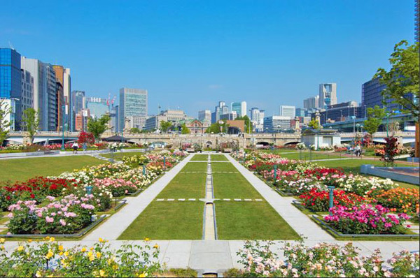 公園　中之島緑道（公園）まで1077m