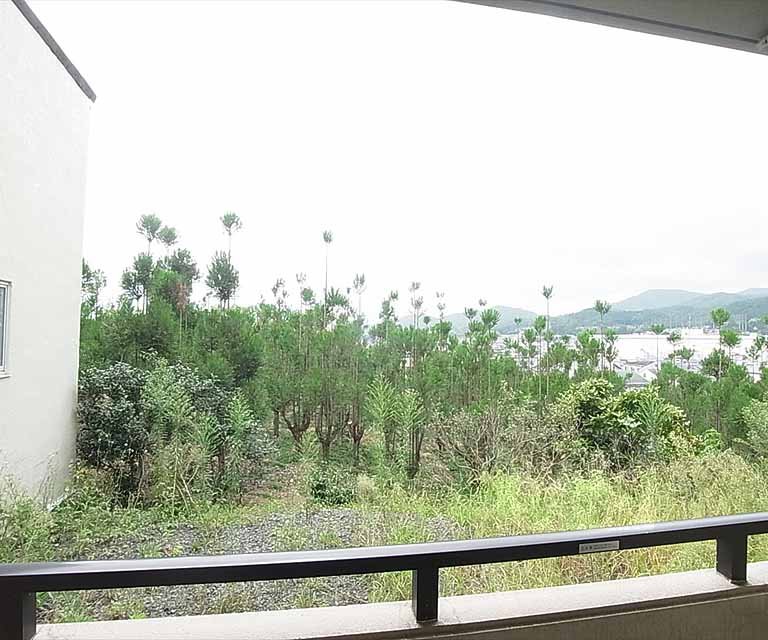 眺望　室外風景