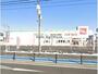 ドラックストア　スギ薬局池浦店（ドラッグストア）まで1303m