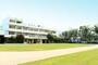 小学校　板橋区立蓮根第二小学校（小学校）まで1096m