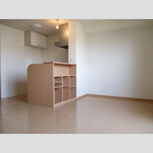 その他部屋・スペース　LDK