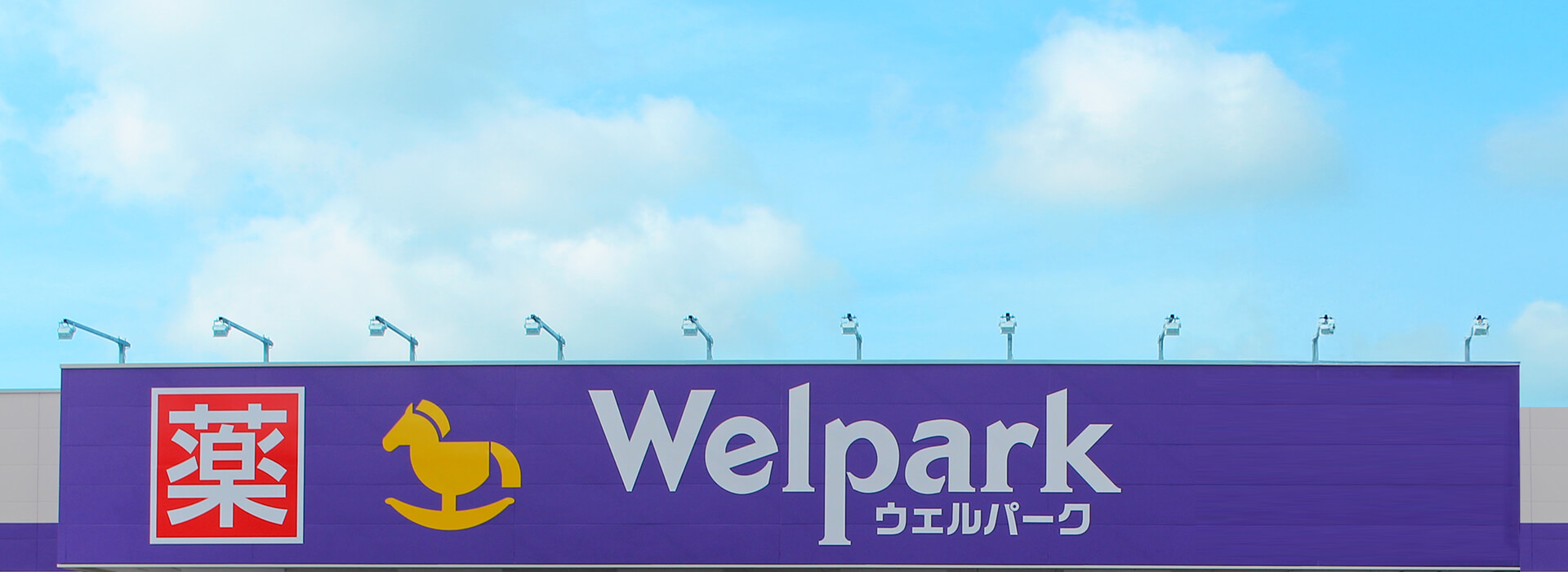 ドラックストア　ウェルパーク薬局上鶴間店（ドラッグストア）まで800m