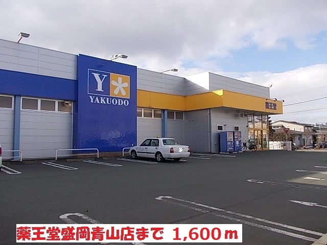ドラックストア　薬王堂盛岡青山店（ドラッグストア）まで1600m