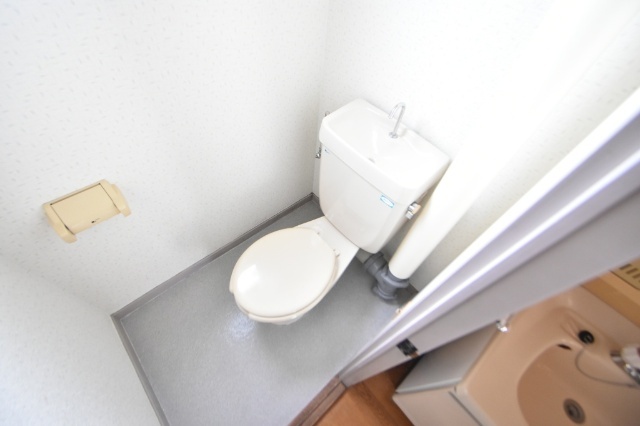 メゾン・ド・ハーティーのトイレ写真
