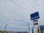 ホームセンター　コーナン泉大津店（ホームセンター）まで600m