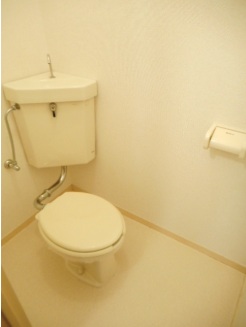 シティハイツ若草のトイレ写真