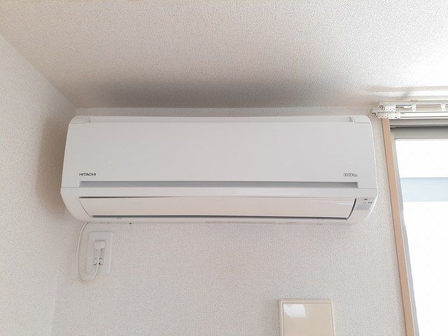 ベルヴェルのその他写真