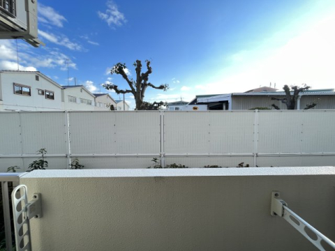 眺望
