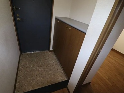 玄関　※同建物の別のお部屋の写真です。