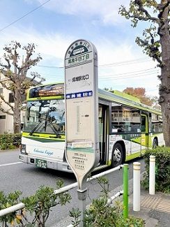 ウェルバード高島平の周辺写真