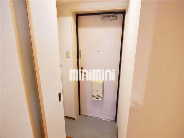 玄関　同一物件、別部屋の写真です。