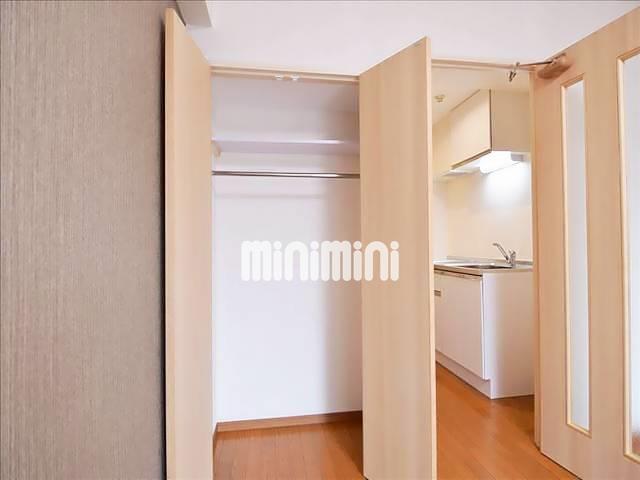 収納　同一物件、別部屋の写真です。